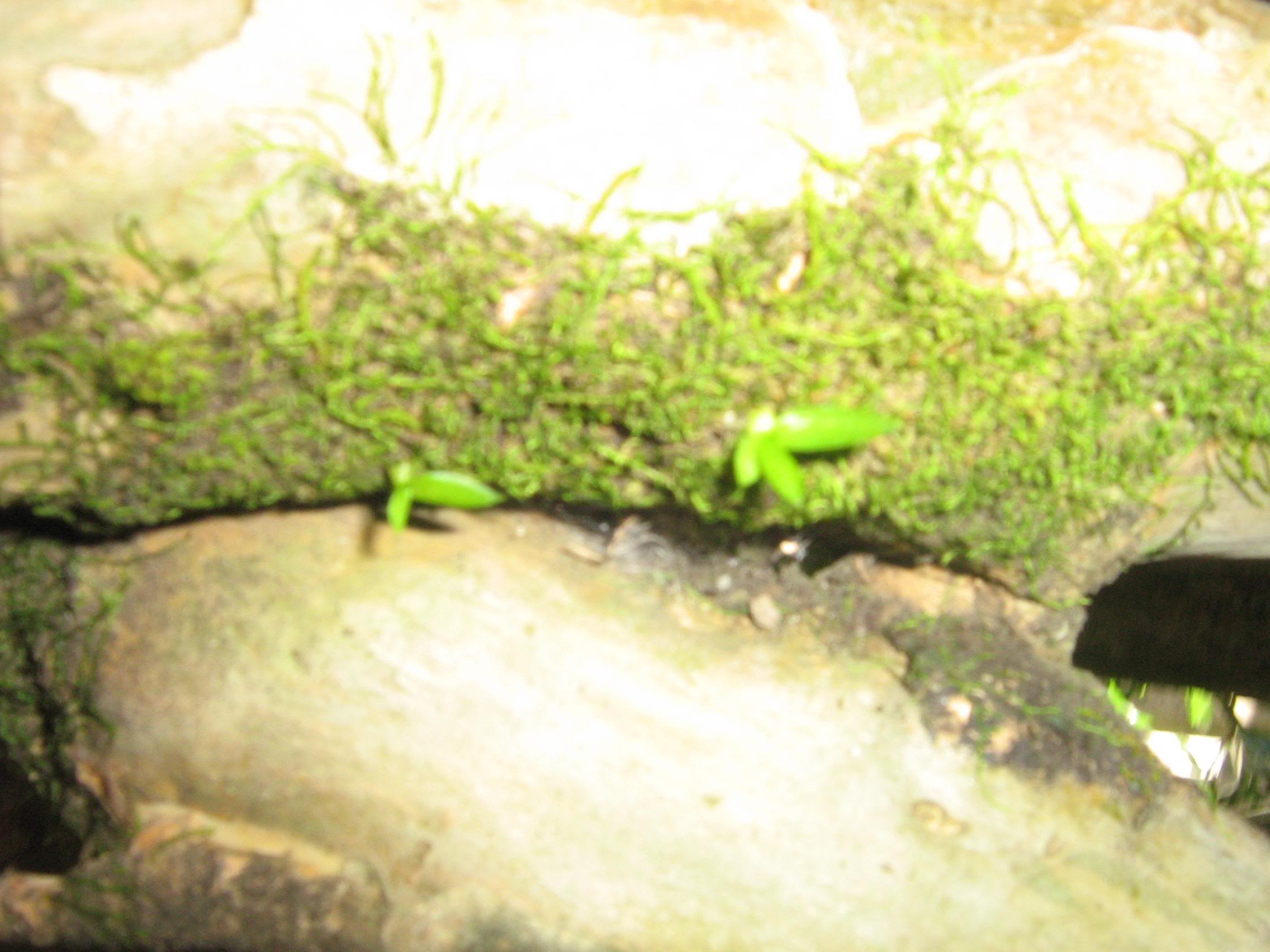 nov-07156.jpg