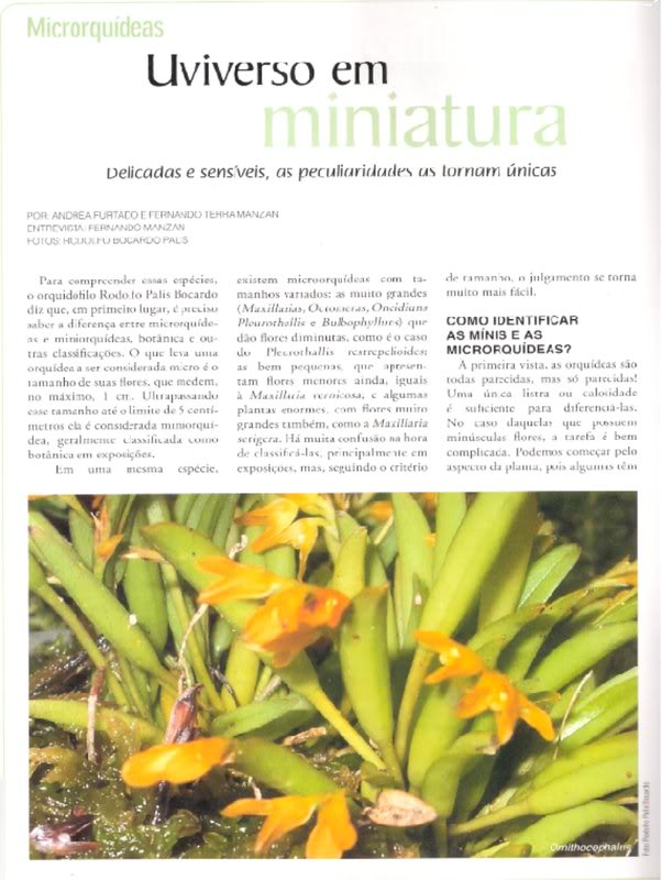 novafolha1.jpg
