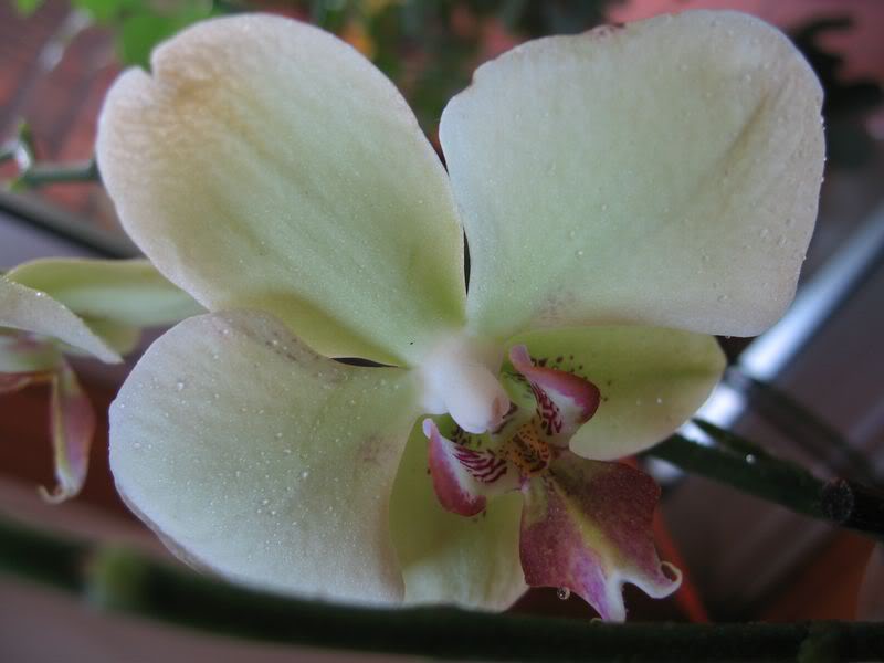 Noviembre002800x600.jpg