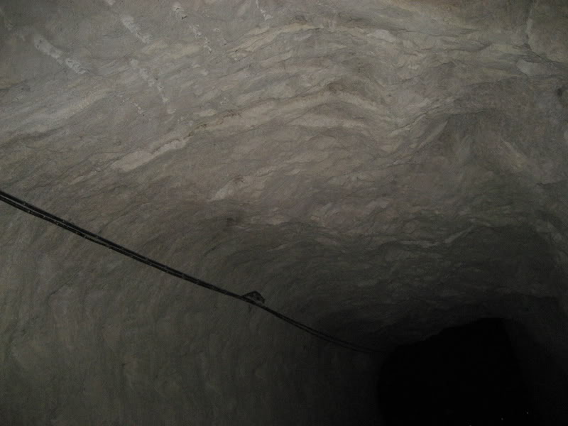 noviembre2007297.jpg