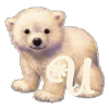 nr0upt.gif