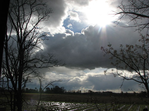 nubarrones rayos arándanos 2.jpg