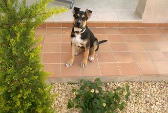 nuc%203%20meses%2CII.JPG