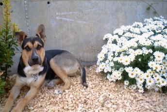 NUC%2C%2010%20MESES.JPG