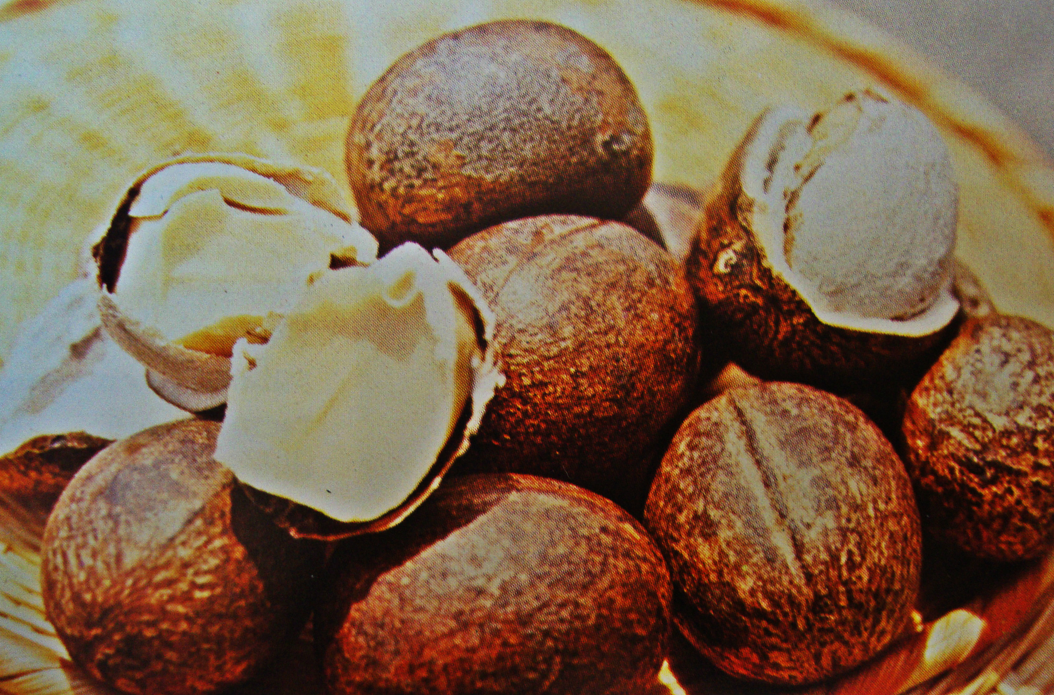 nueces.jpg
