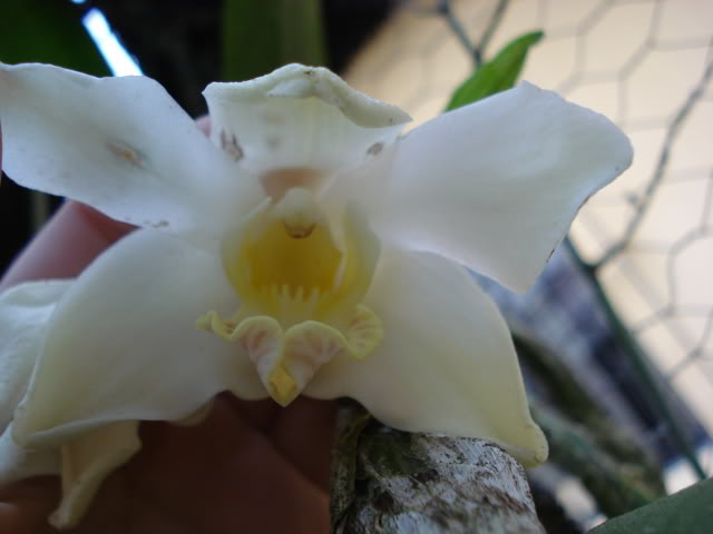 nuevas026.jpg