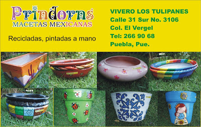 Nuevo+punto+venta.jpg