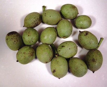 nuez-verde.JPG