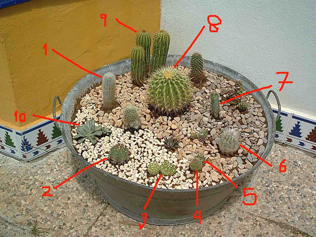 numerados.jpg