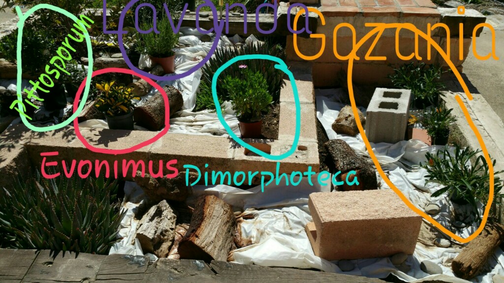 NZqA7hV.jpg