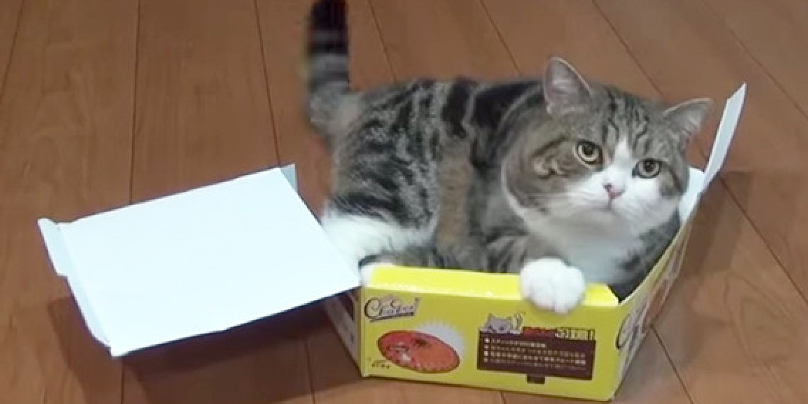 o-MARU-BROKEN-BOX-facebook.jpg