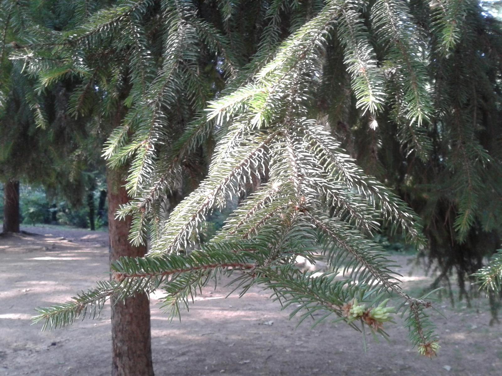 O0TAbUy.jpg