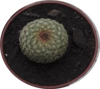 o8h453.jpg