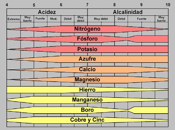 o_Biodisponibilidad%20UNEX.JPG