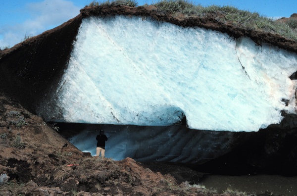 o_permafrost_Science%20poles.jpg