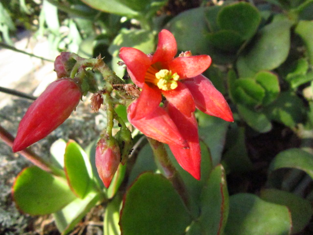 oB9IMG2480JN8.jpg