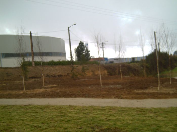 Obra Uceira4_B.jpg