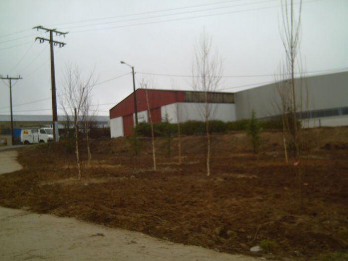 Obra Uceira5_B.jpg