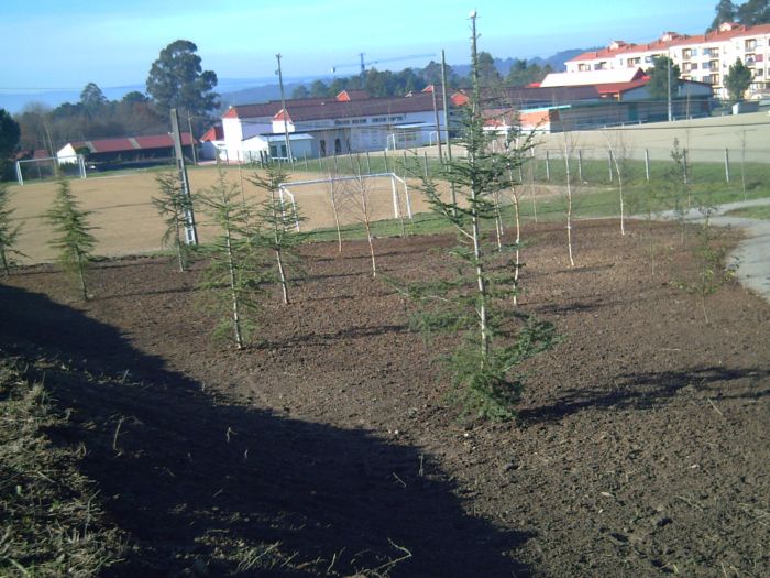 Obra Uceira6_B.jpg
