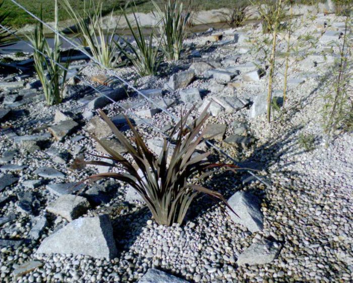 Obra Uceira8_E.jpg