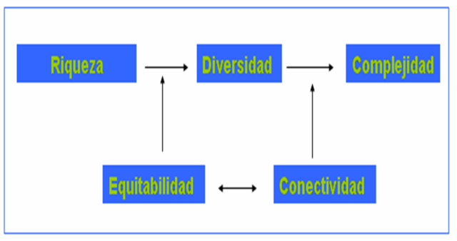 ocomplejidaddef.png