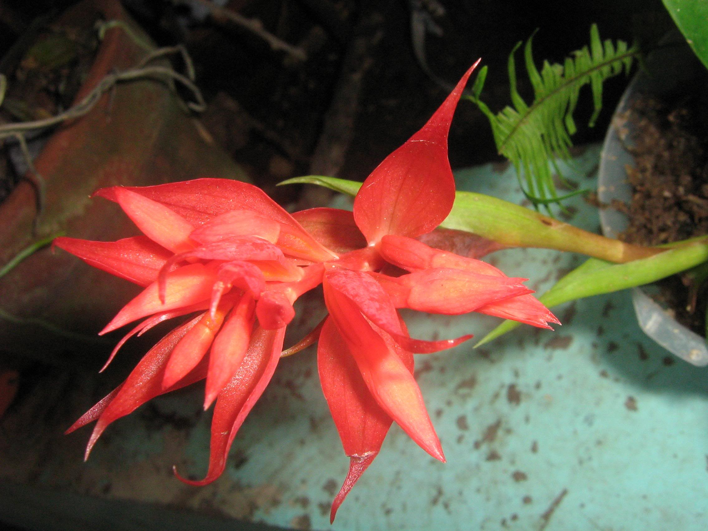 oct-07082.jpg