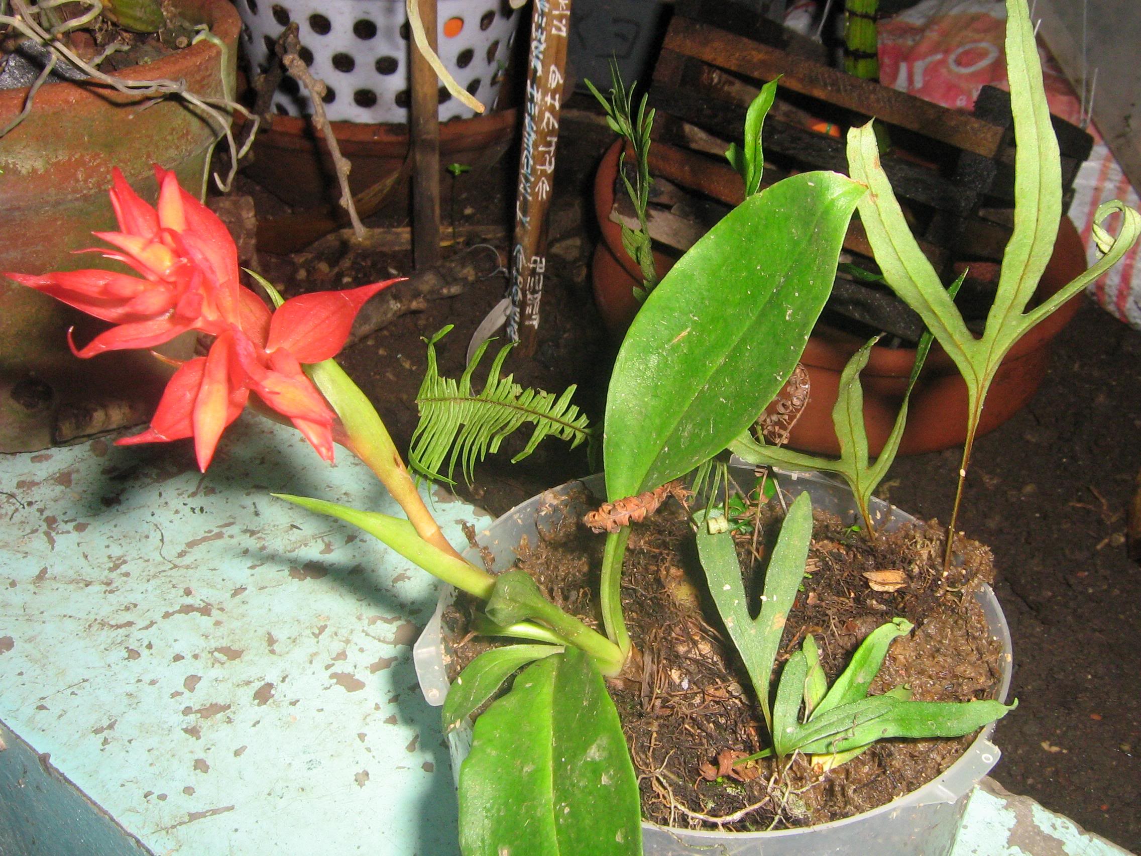 oct-07084.jpg