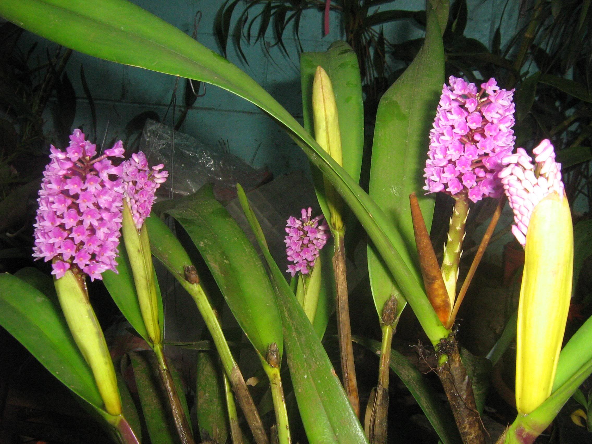 oct-07091.jpg