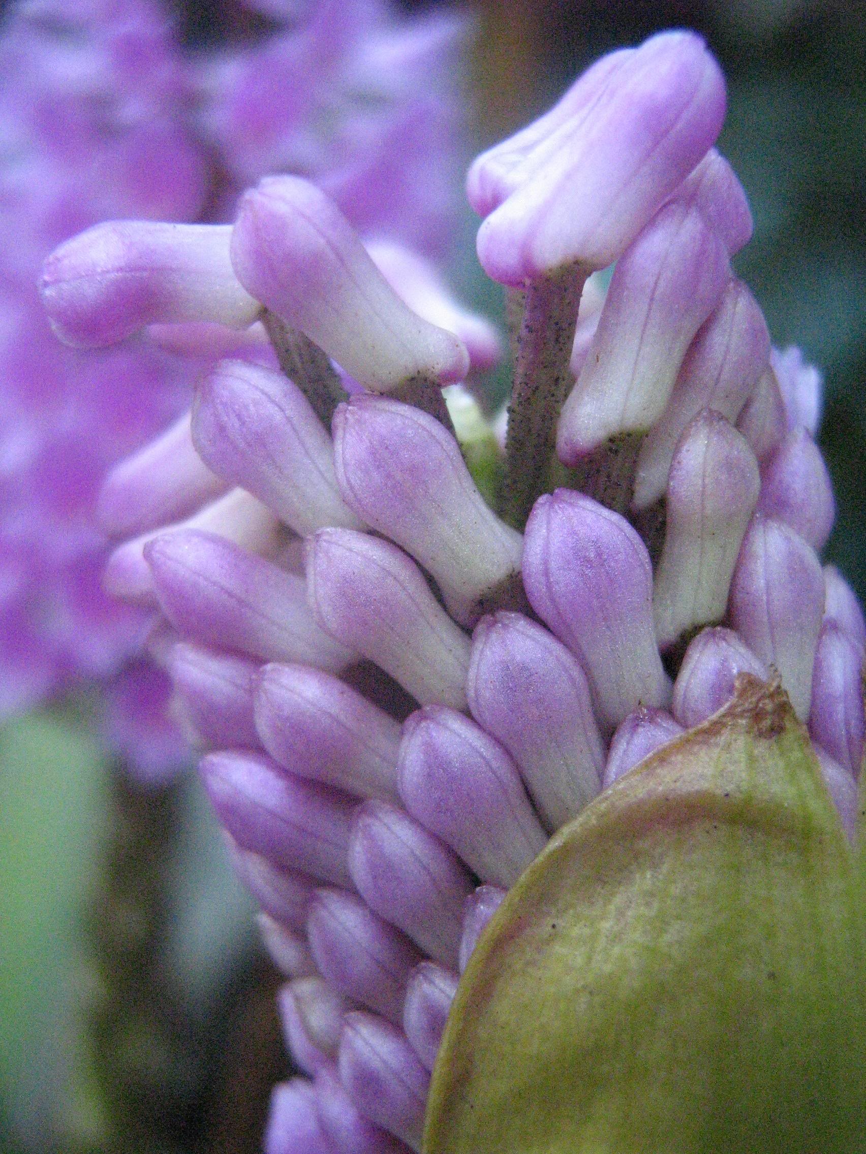 oct-07095.jpg