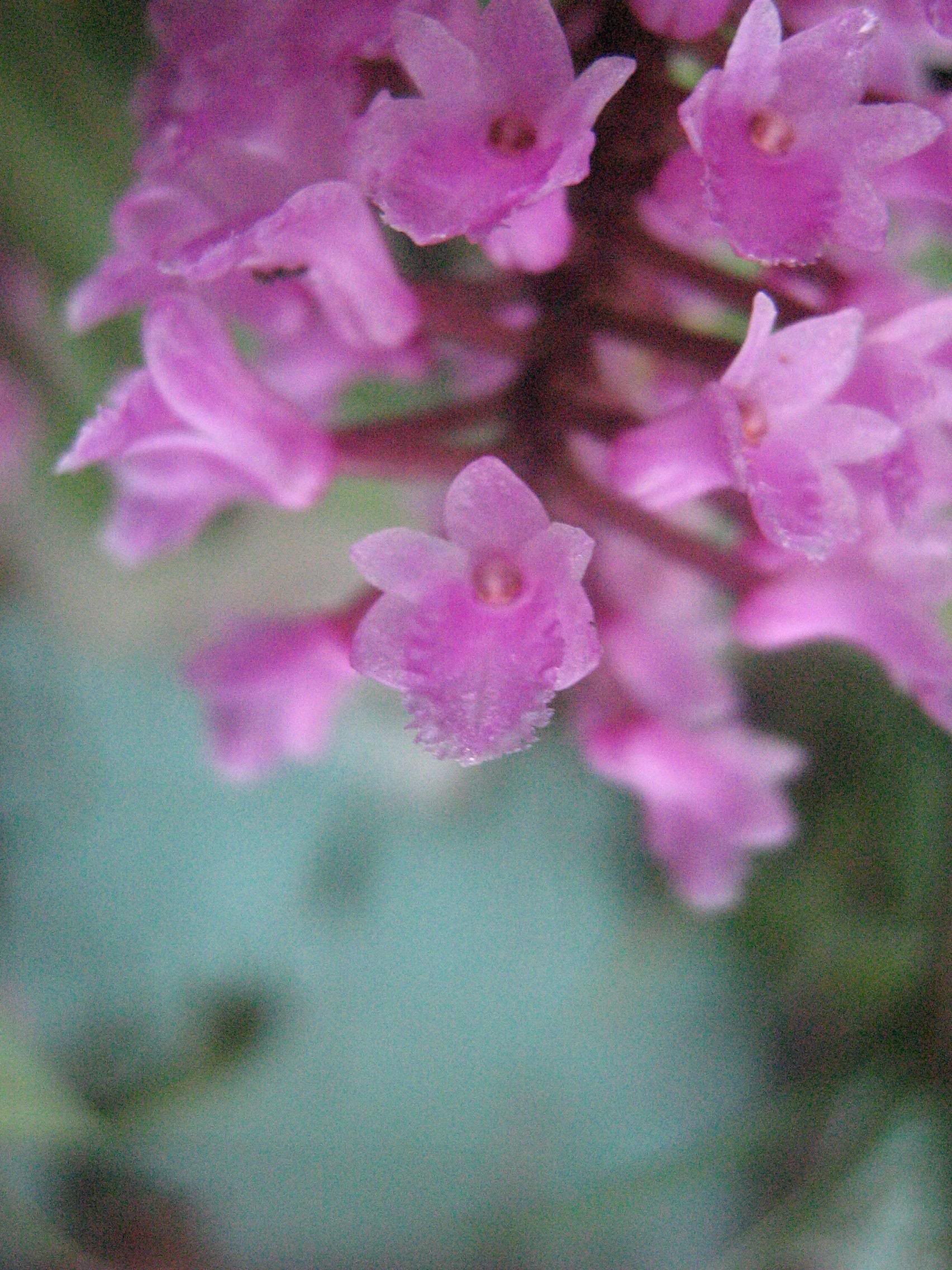 oct-07100.jpg