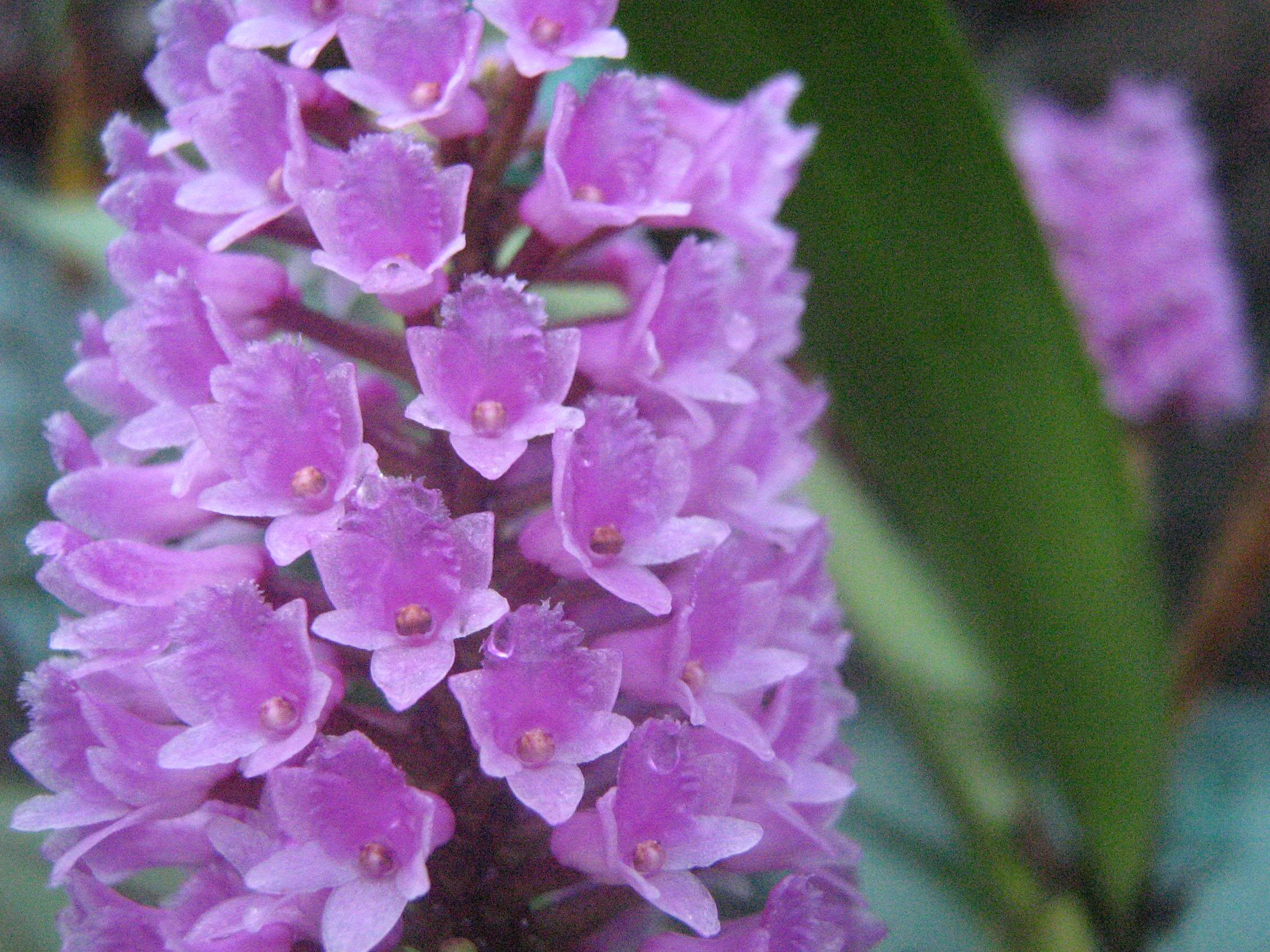 oct-07104.jpg