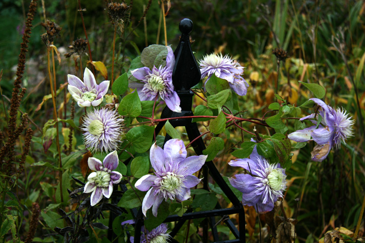Octobre2012-10049145.jpg