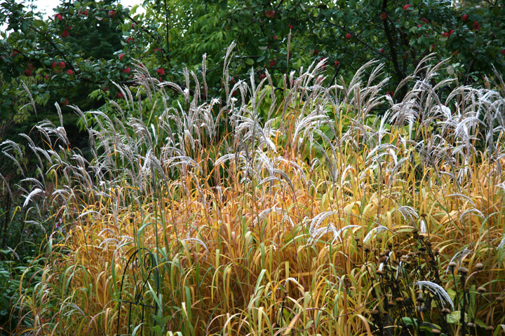 Octobre2012-10049155.jpg