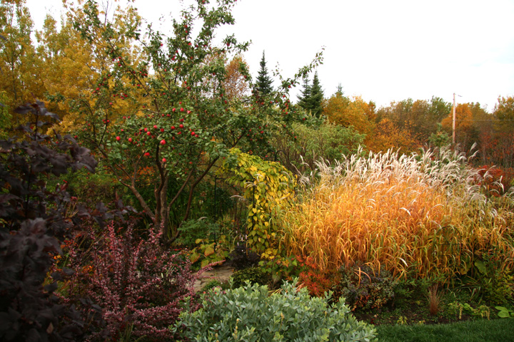 Octobre2012-10049157.jpg
