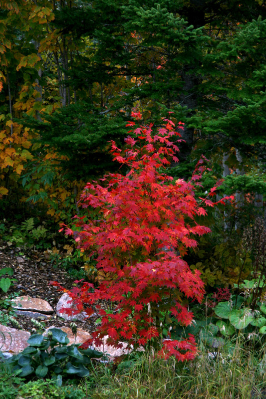 Octobre2012-10049160.jpg
