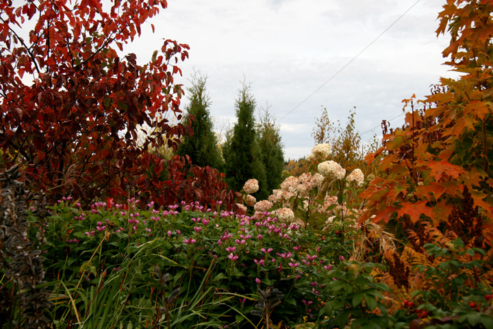Octobre2012-10049181.jpg