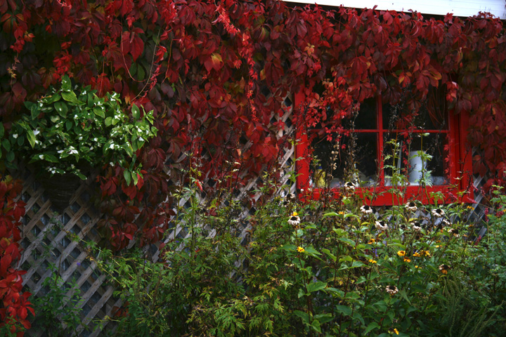 Octobre2012-10049182.jpg