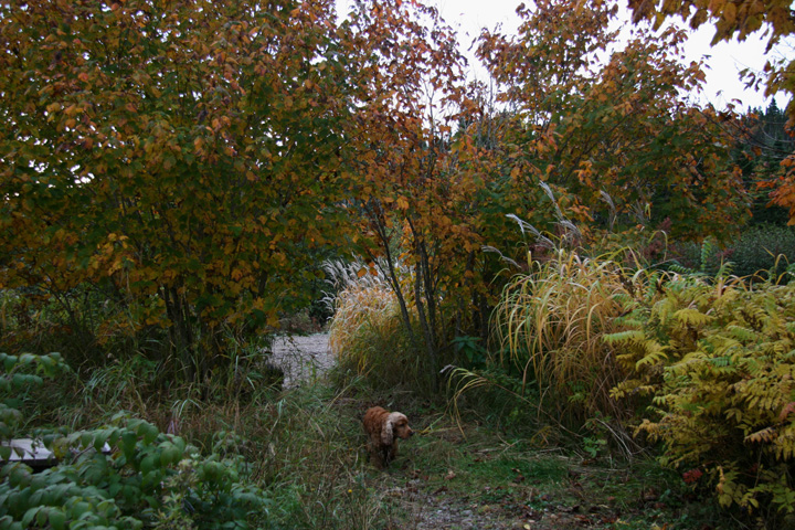 Octobre2012-10049185.jpg