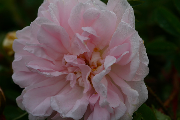 Octobre2012-10049207.jpg
