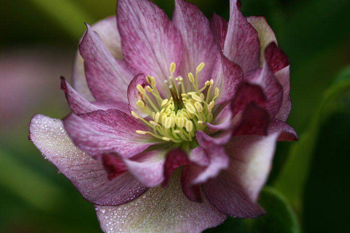 Octobre2012-10049227.jpg