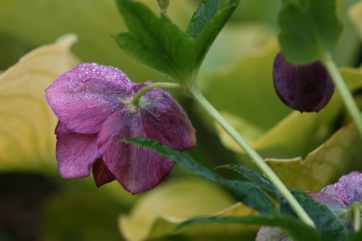 Octobre2012-10049228.jpg