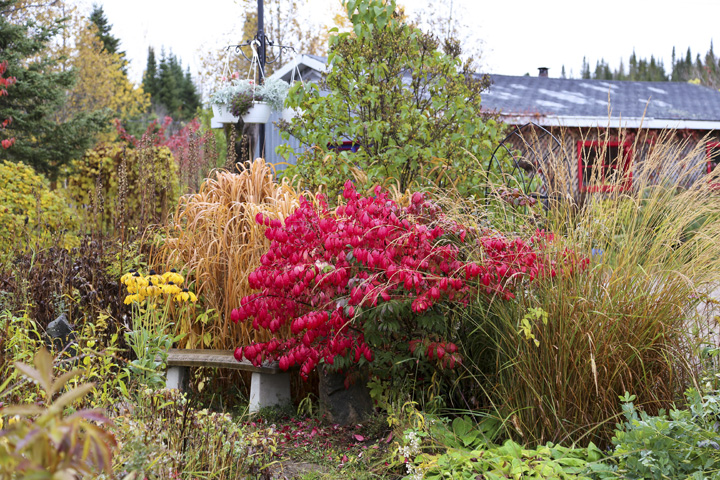 Octobre2013-hiver202013_10_173967_zps4e28c2d4.jpg