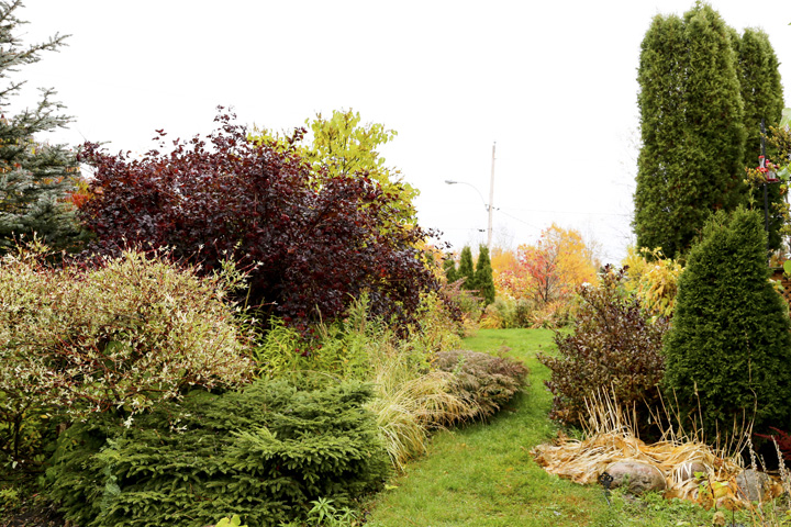 Octobre2013-hiver202013_10_173971_zps46162935.jpg