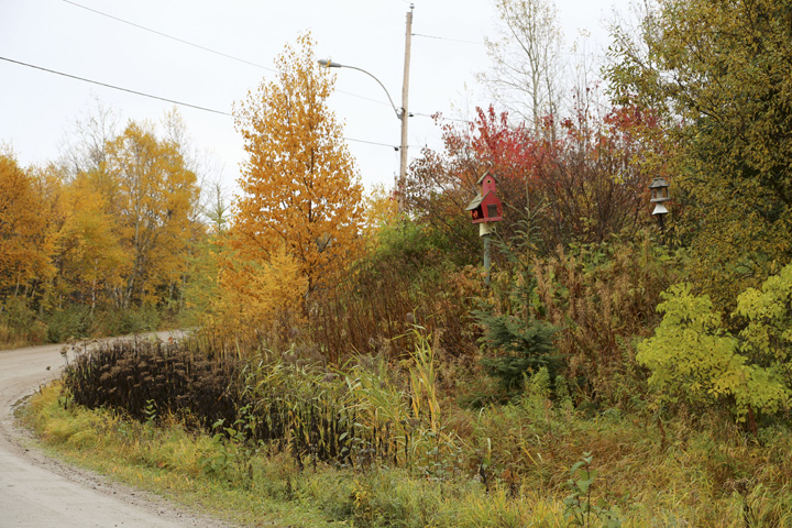 Octobre2013-hiver202013_10_173982_zpsbe724358.jpg