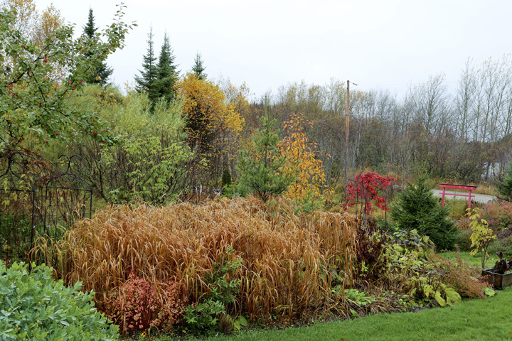 Octobre2013-hiver202013_10_173991_zps9ef53198.jpg