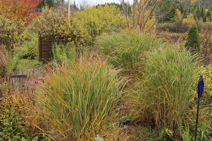 Octobre2013-hiver202013_10_173994_zps2049e285.jpg