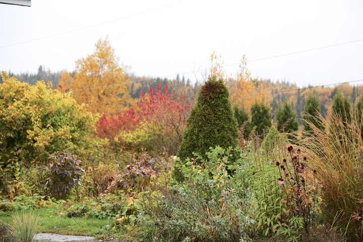 Octobre2013-hiver202013_10_173996_zpscd446734.jpg