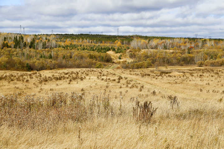 Octobre2013-hiver202013_10_184006_zpse36deabb.jpg