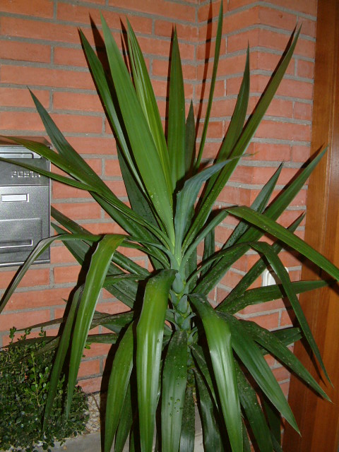 octubre 009.jpg
