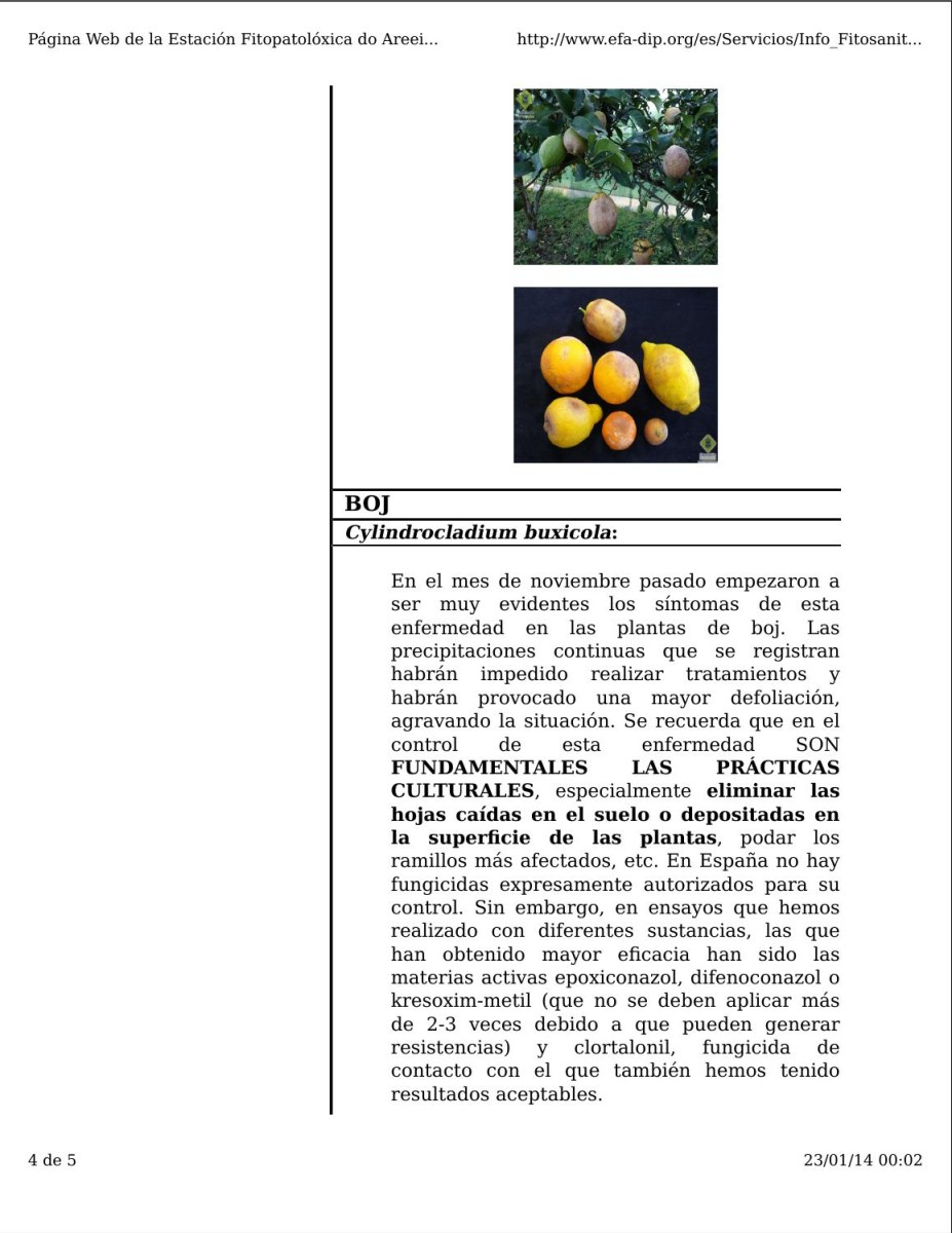oego.jpg
